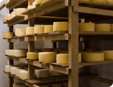 Warehousing Management